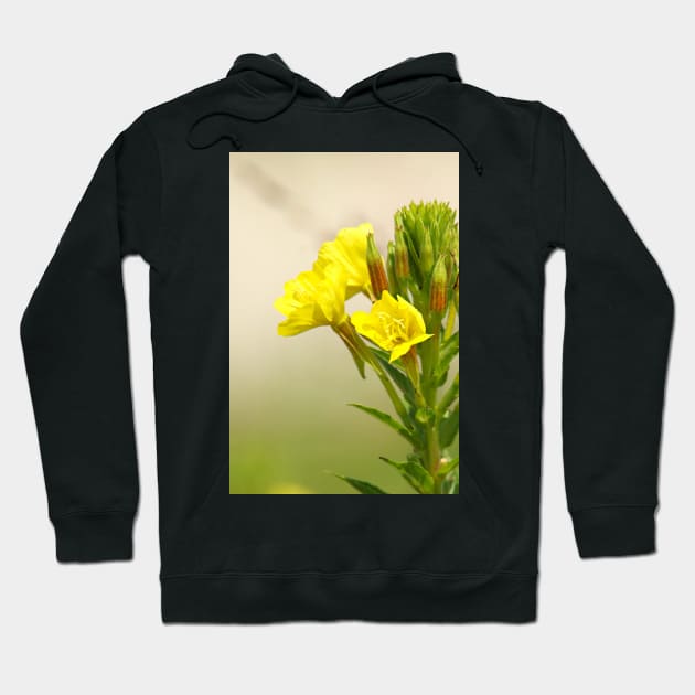 Yellow Wildflowers Hoodie by BirdsnStuff